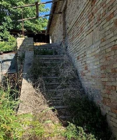 Photo of the lot 8