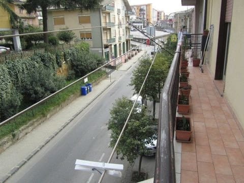 Photo of the lot 2