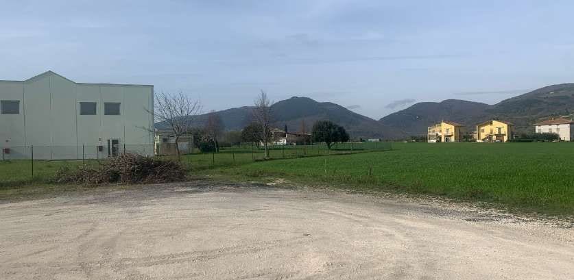 Foto del lotto: Altra categoria a Cingoli