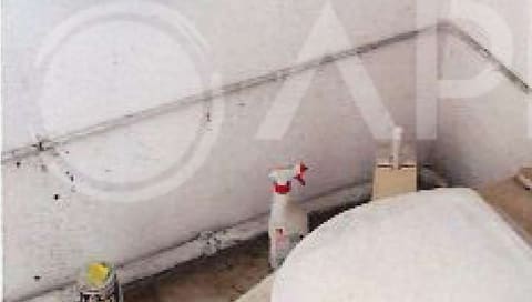 Foto del lotto 9