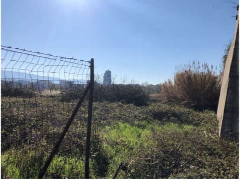 Photo of the lot 2
