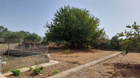 Photo of the lot 5