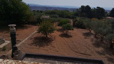 Photo of the lot 6