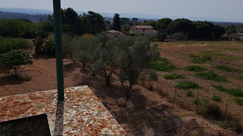 Photo of the lot 7