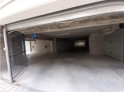 Photo of the lot 3