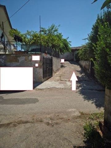 Photo of the lot 3