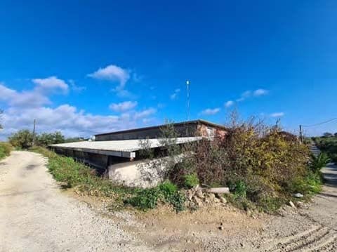 Photo of the lot 2