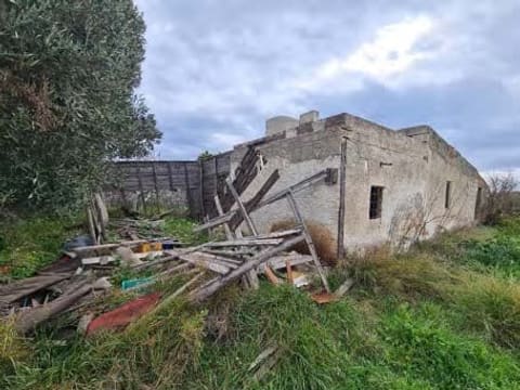 Photo of the lot 3