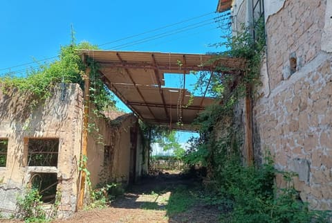 Photo: Altra categoria in Cisterna di Latina (LT)