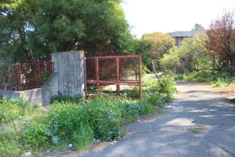 Photo of the lot 2