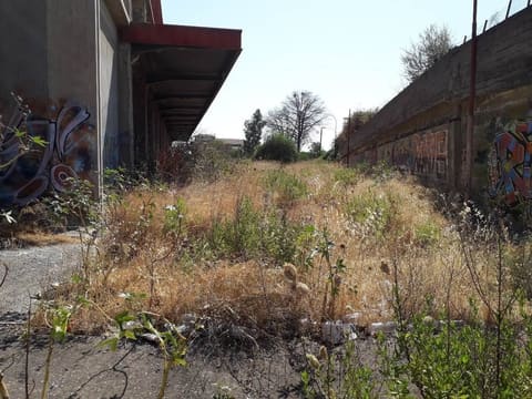 Photo of the lot 3