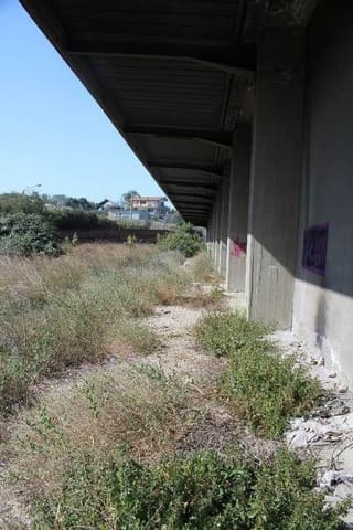 Photo of the lot 8