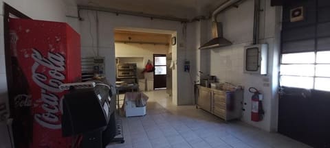 Photo of the lot 3