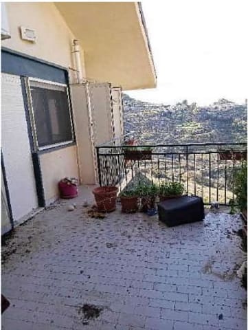 Photo of the lot 2
