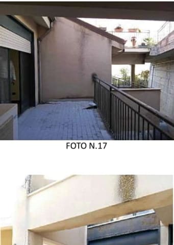 Photo of the lot 3