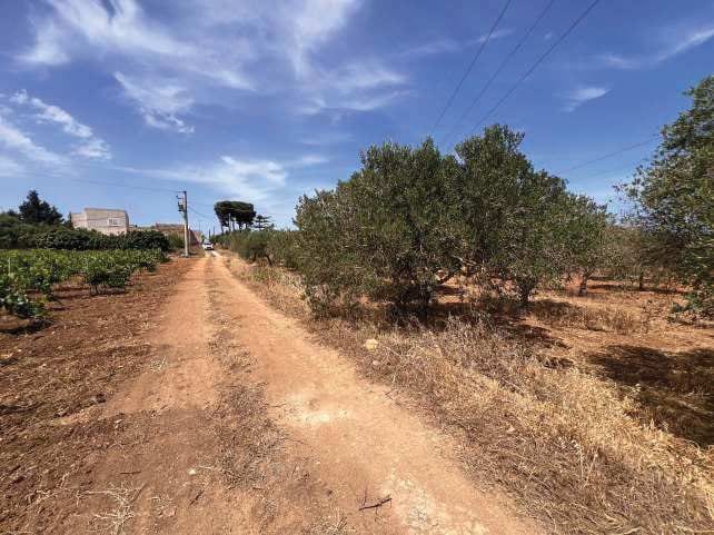 Photo of the lot: Altra categoria in Marsala
