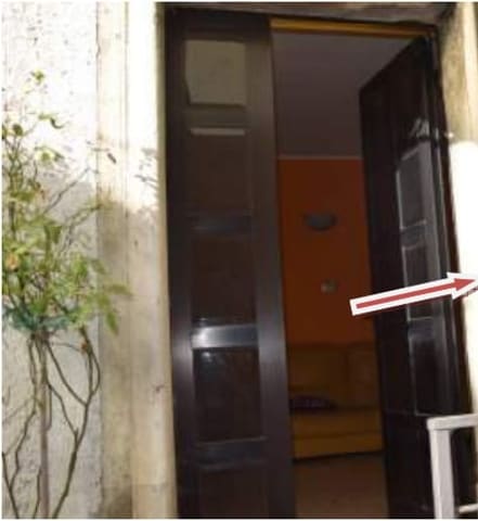 Photo of the lot 6
