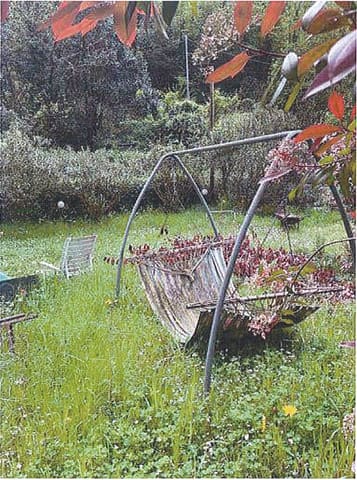 Photo of the lot 3