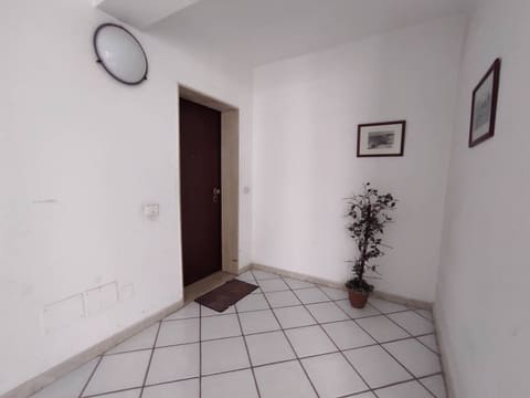 Photo of the lot 3