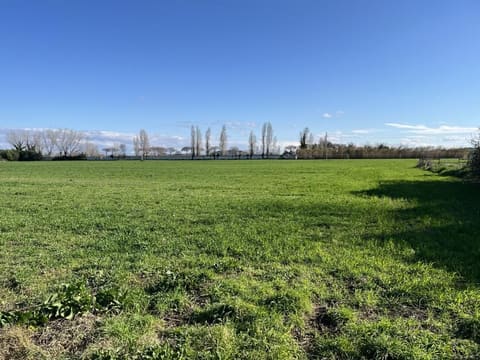 Photo: Altra categoria in Giugliano in Campania (NA)