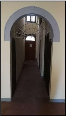 Photo of the lot 2