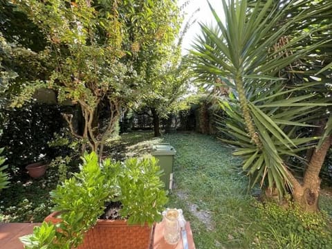 Photo of the lot 3