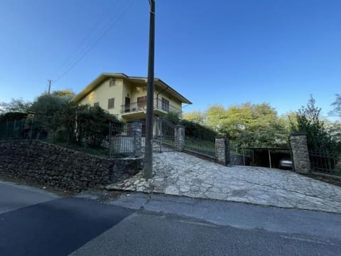 Photo of the lot 5