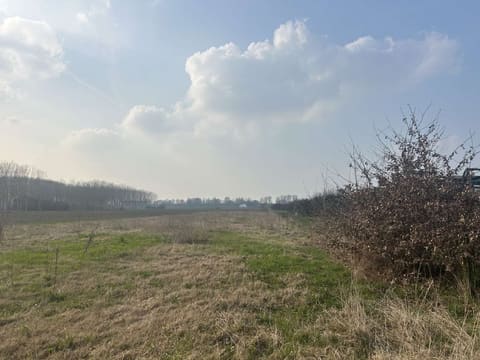 Photo: Altra categoria in San Possidonio (MO)