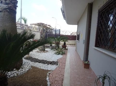 Photo of the lot 4