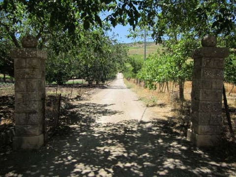 Photo: Altra categoria in Campofiorito (PA)