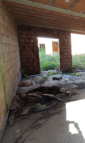 Photo of the lot 5