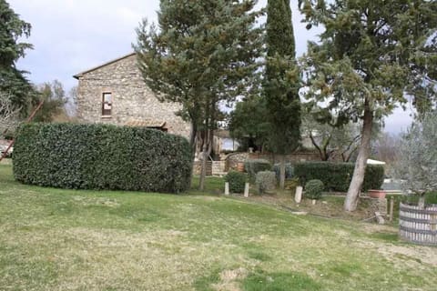 Photo: Altra categoria in Civitella Paganico (GR)