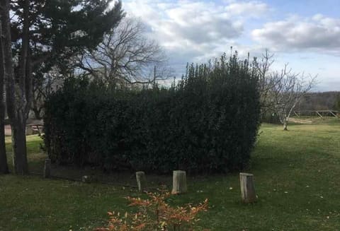 Photo of the lot 3