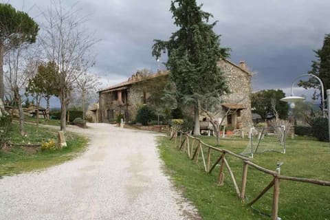 Photo of the lot 4