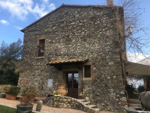 Photo of the lot 7
