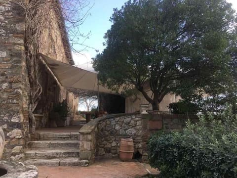Photo of the lot 8