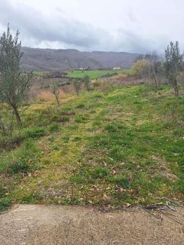 Photo of the lot 7
