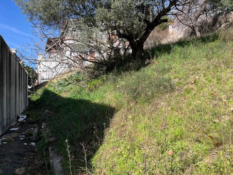 Photo of the lot 2