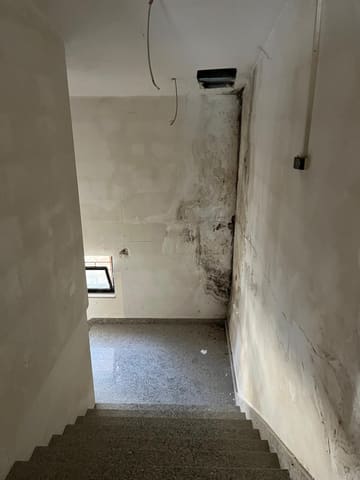 Photo of the lot 5