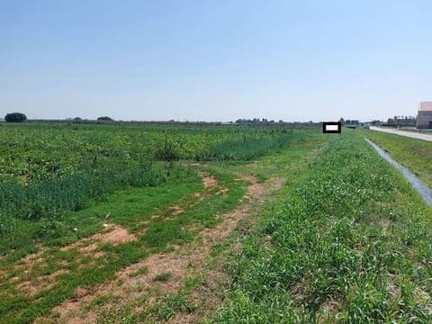 Photo: Altra categoria in Mozzecane (VR)
