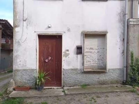 Photo of the lot 3