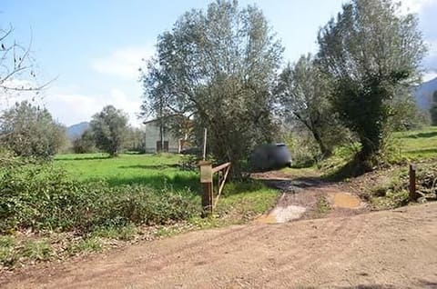 Photo: Immobile residenziale in Pietramelara (CE)