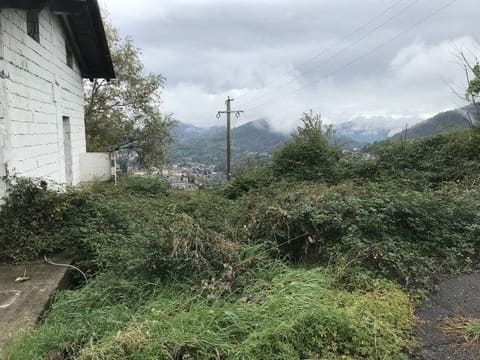 Photo: Altra categoria in Foresto Sparso (BG)