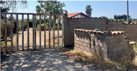 Photo of the lot 3