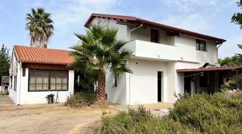 Photo of the lot 4