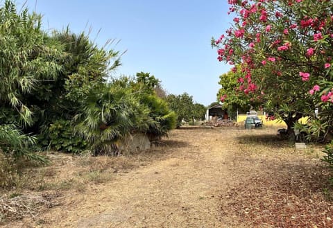 Photo of the lot 5