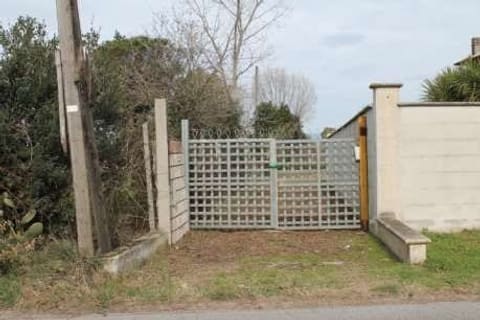 Photo of the lot 2