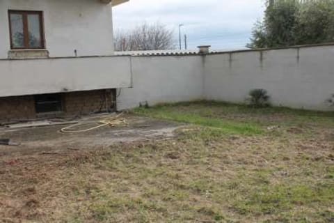 Photo of the lot 3