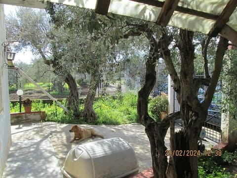 Photo: Immobile residenziale in Partinico (PA)