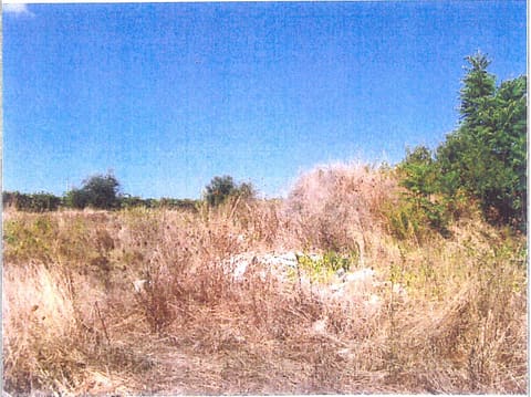 Photo: Altra categoria in Velletri (RM)